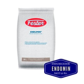 Fester Endumin